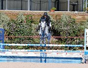 PRANDI Centaryllis GioCav2013 S5 1796 : Campionati Italiani Giovani Cavalli, Cattolica, Centaryllis, PRANDI Roberto, ph Stefano Secchi ©