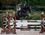 Prandina Sascia GioCav2013 S5 1077 : Campionati Italiani Giovani Cavalli, Cattolica, Prandina Diego, Sascia, ph Stefano Secchi ©