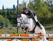 Prandina Silvestream GioCav2013 S5 3156 : Campionati Italiani Giovani Cavalli, Cattolica, Prandina Diego, Silvestream, ph Stefano Secchi ©