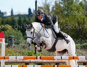 Prandina Silvestream GioCav2013 S5 3157 : Campionati Italiani Giovani Cavalli, Cattolica, Prandina Diego, Silvestream, ph Stefano Secchi ©
