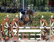 Rocchi Esmeralda GioCav2013 S6 7384 : Campionati Italiani Giovani Cavalli, Cattolica, Esmeralda, Rocchi Luana, ph Stefano Secchi ©