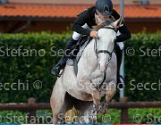 Rossi Querrida GioCav2013 S5 4453 : Campionati Italiani Giovani Cavalli, Cattolica, Querrida, Rossi Andrea, ph Stefano Secchi ©