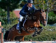 Rota Diavolita GioCav2013 S5 1492 : Campionati Italiani Giovani Cavalli, Cattolica, Diavolita, Rota Mario, ph Stefano Secchi ©