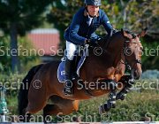 Rota Diavolita GioCav2013 S5 1493 : Campionati Italiani Giovani Cavalli, Cattolica, Diavolita, Rota Mario, ph Stefano Secchi ©