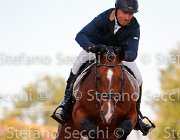Rota Rebus GioCav2013 S5 3504 : Campionati Italiani Giovani Cavalli, Cattolica, Rebus di Valmarina, Rota Mario, ph Stefano Secchi ©