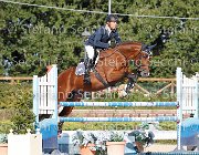 Rota Rebus GioCav2013 S6 7586 : Campionati Italiani Giovani Cavalli, Cattolica, Rebus di Valmarina, Rota Mario, ph Stefano Secchi ©