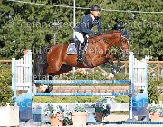 Rota Rebus GioCav2013 S6 7587 : Campionati Italiani Giovani Cavalli, Cattolica, Rebus di Valmarina, Rota Mario, ph Stefano Secchi ©