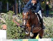 Rota Rebus GioCav2013 S6 7591 : Campionati Italiani Giovani Cavalli, Cattolica, Rebus di Valmarina, Rota Mario, ph Stefano Secchi ©