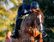 Sanfelice Indiana GioCav2013 S5 3555 : Campionati Italiani Giovani Cavalli, Cattolica, Indiana del Terriccio, Sanfelice Antonio, ph Stefano Secchi ©