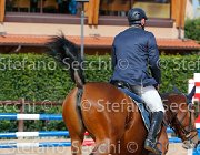 Sbardellati Radiosa GioCav2013 S5 4101 : Campionati Italiani Giovani Cavalli, Cattolica, Radiosa di Franciacorta, Sbardellati Claudio, ph Stefano Secchi ©