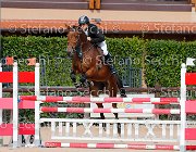 Scalzo Ugaluise GioCav2013 S5 4025 : Campionati Italiani Giovani Cavalli, Cattolica, Scalzo Dario, Ugaluise, ph Stefano Secchi ©
