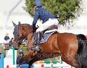 Scianaro Begonia GioCav2013 S6 7424 : Begonia, Campionati Italiani Giovani Cavalli, Cattolica, Scianaro Andrea, ph Stefano Secchi ©
