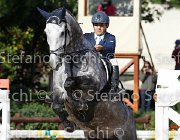 Scianaro Pakira GioCav2013 S6 7483 : Campionati Italiani Giovani Cavalli, Cattolica, Pakira, Scianaro Andrea, ph Stefano Secchi ©