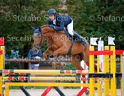 Sestini Walchiria GioCav2013 S5 2140 : Campionati Italiani Giovani Cavalli, Cattolica, Sestini Daniele, Walchiria del Tiglio, ph Stefano Secchi ©