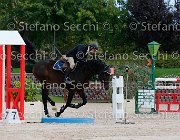 Sulmoni Cantini GioCav2013 S5 2838 : Campionati Italiani Giovani Cavalli, Cantini della Caccia, Cattolica, Sulmoni Clint, ph Stefano Secchi ©
