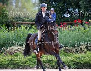 Sulmoni Cantini GioCav2013 S5 2843 : Campionati Italiani Giovani Cavalli, Cantini della Caccia, Cattolica, Sulmoni Clint, ph Stefano Secchi ©
