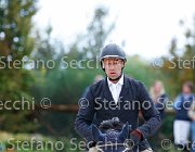 Sulmoni Cantini GioCav2013 S5 2846 : Campionati Italiani Giovani Cavalli, Cantini della Caccia, Cattolica, Sulmoni Clint, ph Stefano Secchi ©