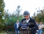 Sulmoni Cantini GioCav2013 S5 2851 : Campionati Italiani Giovani Cavalli, Cantini della Caccia, Cattolica, Sulmoni Clint, ph Stefano Secchi ©