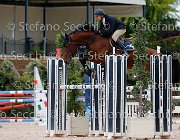 Sulmoni Cassirado GioCav2013 S5 2302 : Campionati Italiani Giovani Cavalli, Cassirado, Cattolica, Sulmoni Clint, ph Stefano Secchi ©