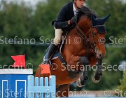 Sulmoni Cassirado GioCav2013 S5 2307 : Campionati Italiani Giovani Cavalli, Cassirado, Cattolica, Sulmoni Clint, ph Stefano Secchi ©