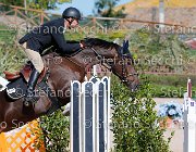 Sulmoni Sellia GioCav2013 S5 1830 : Campionati Italiani Giovani Cavalli, Cattolica, Sellia, Sulmoni Clint, ph Stefano Secchi ©