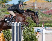 Sulmoni Sellia GioCav2013 S5 1831 : Campionati Italiani Giovani Cavalli, Cattolica, Sellia, Sulmoni Clint, ph Stefano Secchi ©