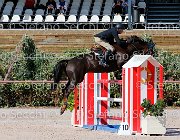 Sulmoni Sellia GioCav2013 S5 1839 : Campionati Italiani Giovani Cavalli, Cattolica, Sellia, Sulmoni Clint, ph Stefano Secchi ©