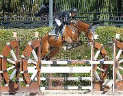Tarasconi Pompidur GioCav2013 S6 7474 : Campionati Italiani Giovani Cavalli, Cattolica, Pompidur, Tarasconi Francesca, ph Stefano Secchi ©