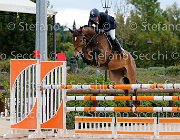 Tonali Scar GioCav2013 S5 3042 : Campionati Italiani Giovani Cavalli, Cattolica, Scar, Tonali Massimo, ph Stefano Secchi ©