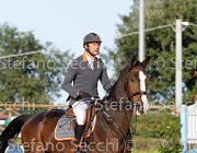 Zuvadelli Cruise GioCav2013 S6 7720 : Campionati Italiani Giovani Cavalli, Cattolica, Cruise aremac, Zuvadelli Paolo, ph Stefano Secchi ©