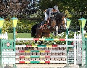Zuvadelli Cruise GioCav2013 S6 7724 : Campionati Italiani Giovani Cavalli, Cattolica, Cruise aremac, Zuvadelli Paolo, ph Stefano Secchi ©
