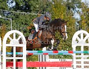 Zuvadelli Cruise GioCav2013 S6 7727 : Campionati Italiani Giovani Cavalli, Cattolica, Cruise aremac, Zuvadelli Paolo, ph Stefano Secchi ©