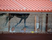  S5 4488 : Campionati Italiani Giovani Cavalli, Cattolica, ph Stefano Secchi ©