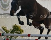 Clintige TosTour2013- S4 6322 : Arezzo, Arezzo Equestrian Centre, Cavalli d'Italia, Clintige, Toscana Tour 2013, foto di Stefano Secchi ©