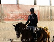 Lotus TosTour2013- S4 6341 : Arezzo, Arezzo Equestrian Centre, Cavalli d'Italia, Lotus, Lotus del Sole, Toscana Tour 2013, foto di Stefano Secchi ©