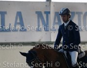 Lotus TosTour2013- S4 6342 : Arezzo, Arezzo Equestrian Centre, Cavalli d'Italia, Lotus, Lotus del Sole, Toscana Tour 2013, foto di Stefano Secchi ©