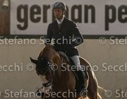 Lotus TosTour2013- S4 6347 : Arezzo, Arezzo Equestrian Centre, Cavalli d'Italia, Lotus, Lotus del Sole, Toscana Tour 2013, foto di Stefano Secchi ©