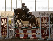 Lotus TosTour2013- S5 3107 : Arezzo, Arezzo Equestrian Centre, Cavalli d'Italia, Lotus, Lotus del Sole, Toscana Tour 2013, foto di Stefano Secchi ©