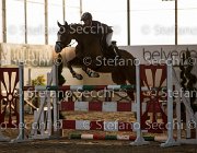 Lotus TosTour2013- S5 3117 : Arezzo, Arezzo Equestrian Centre, Cavalli d'Italia, Lotus, Lotus del Sole, Toscana Tour 2013, foto di Stefano Secchi ©