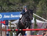 Allen Zenzation TosTour 2013- S5 7467 : Allen Bertram, Arezzo Equestrian Centre, Toscana Tour 2013, Zenzation, foto di Stefano Secchi ©