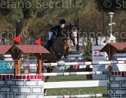 Andries Cicero TosTour2013- S5 1961 : Andries Stephanie, Arezzo, Arezzo Equestrian Centre, Cicero, Toscana Tour 2013, foto di Stefano Secchi ©