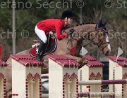 Andries Cicero TosTour 2013- S4 6456 : Andries Stephanie, Arezzo Equestrian Centre, Cicero, Toscana Tour 2013, foto di Stefano Secchi ©