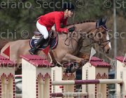 Andries Cicero TosTour 2013- S4 6457 : Andries Stephanie, Arezzo Equestrian Centre, Cicero, Toscana Tour 2013, foto di Stefano Secchi ©