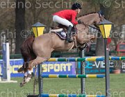 Andries Cicero TosTour 2013- S4 6458 : Andries Stephanie, Arezzo Equestrian Centre, Cicero, Toscana Tour 2013, foto di Stefano Secchi ©