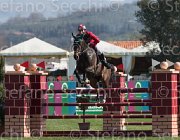 Atzmuller Activity TosTour2013- S5 2081 : Activity B, Arezzo, Arezzo Equestrian Centre, Atzmuller Matthias, Toscana Tour 2013, foto di Stefano Secchi ©