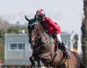 Atzmuller Activity TosTour2013- S5 2082 : Activity B, Arezzo, Arezzo Equestrian Centre, Atzmuller Matthias, Toscana Tour 2013, foto di Stefano Secchi ©
