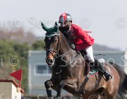 Atzmuller Activity TosTour2013- S5 2083 : Activity B, Arezzo, Arezzo Equestrian Centre, Atzmuller Matthias, Toscana Tour 2013, foto di Stefano Secchi ©