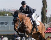 Barzaghi Zico TosTour2013- S5 2065 : Arezzo, Arezzo Equestrian Centre, Barzaghi Lorenzo, Toscana Tour 2013, Zico H, foto di Stefano Secchi ©