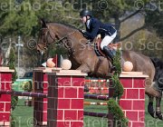Berge Lazur TosTour2013- S5 2257 : Arezzo, Arezzo Equestrian Centre, Berge Lars, Lazur, Toscana Tour 2013, foto di Stefano Secchi ©
