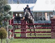 Bicocchi Rodgerio TosTour2013- S5 2092 : Arezzo, Arezzo Equestrian Centre, Bicocchi Emilio, Rodgerio, Toscana Tour 2013, foto di Stefano Secchi ©